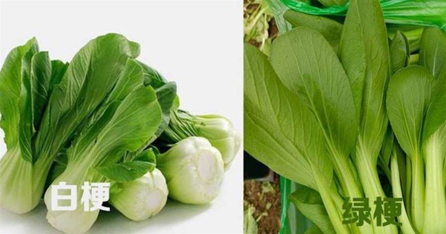 買油菜，要分清「白梗」和「綠梗」，差別很大，買錯澀口難吃